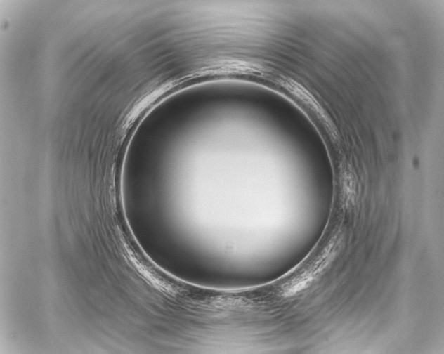 X0000059060842200510101046