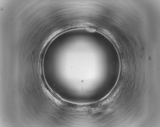 X0000059060843200510101046