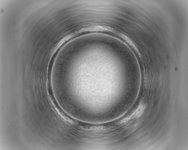 X0000059060845200510101046