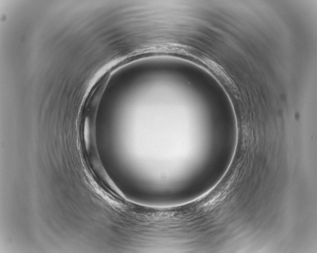 X0000059060846200510101046