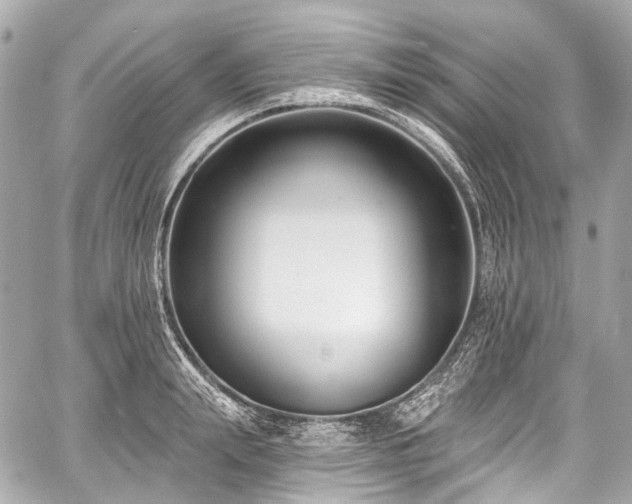 X0000059060847200510101046