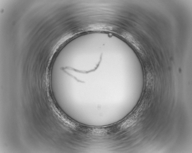 X0000059060848200510101047