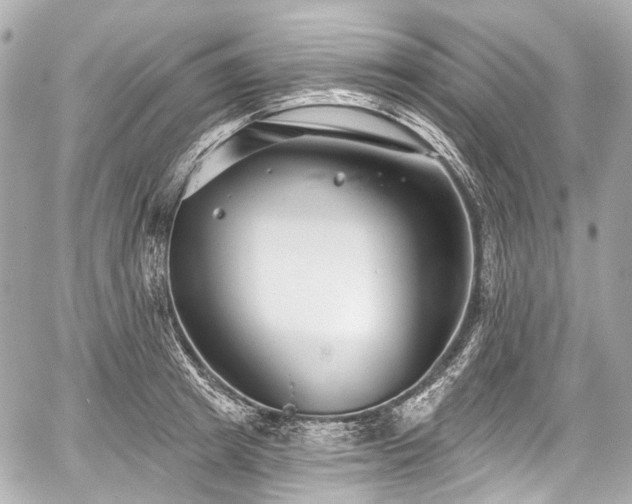 X0000059060849200510101047