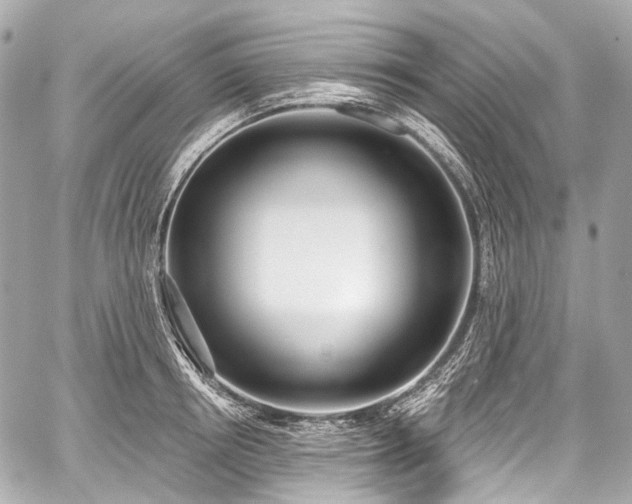 X0000059060850200510101047