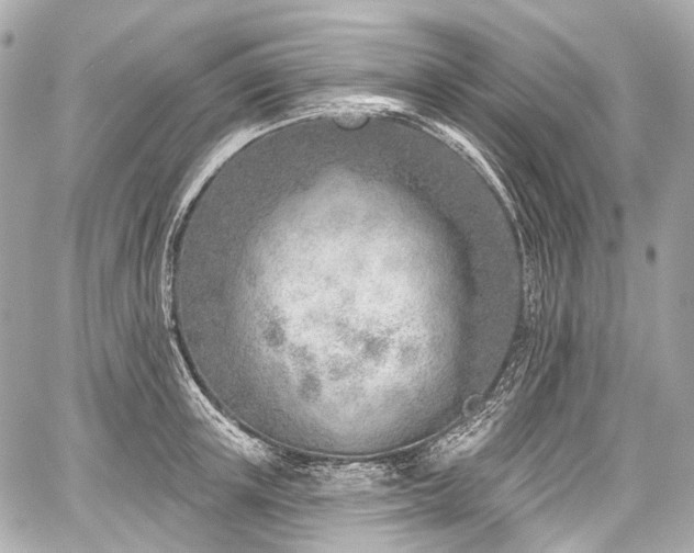 X0000059060851200510101047