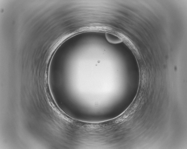 X0000059060852200510101047