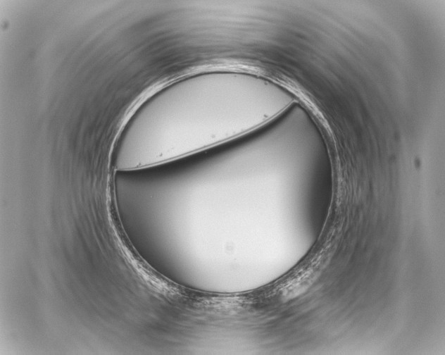 X0000059060853200510101047