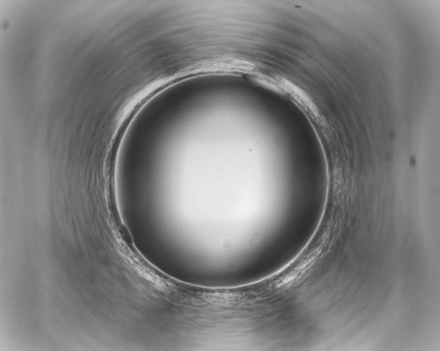 X0000059060854200510101047