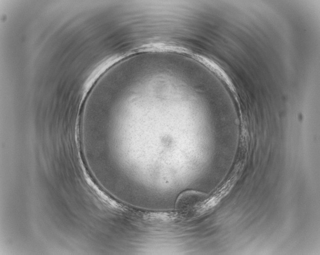 X0000059060855200510101047