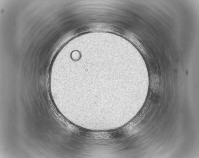 X0000059060856200510101047