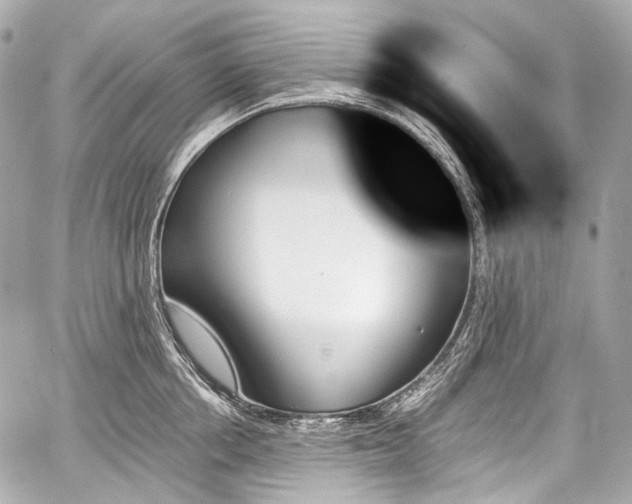 X0000059060858200510101047