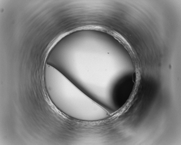 X0000059060860200510101047