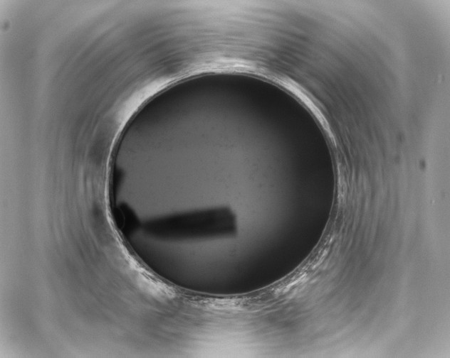 X0000059060861200510101047