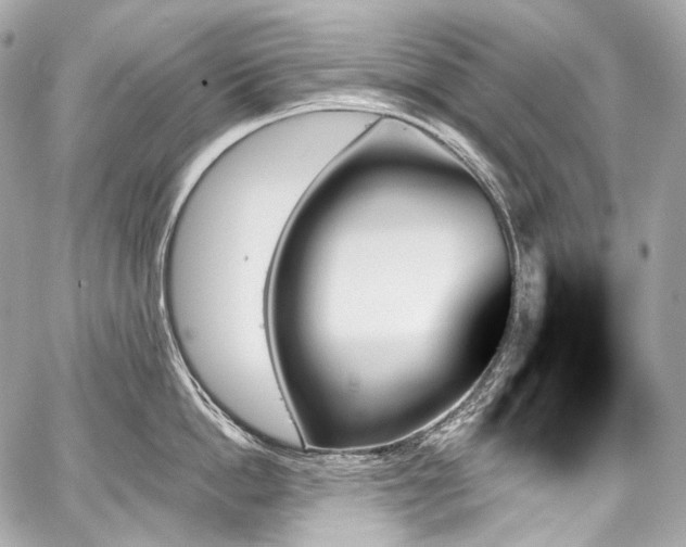 X0000059060862200510101047