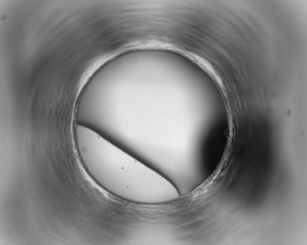 X0000059060863200510101047