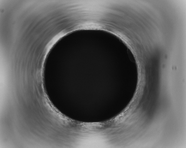 X0000059060864200510101047