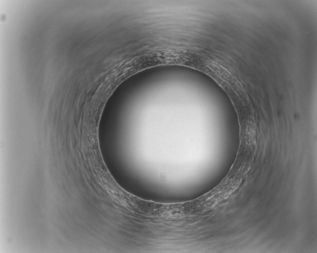 X0000059060865200510101046