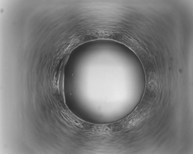 X0000059060866200510101046