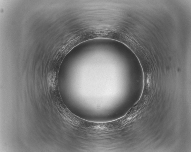 X0000059060867200510101046