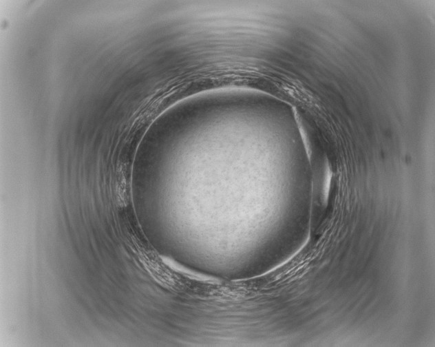 X0000059060868200510101046