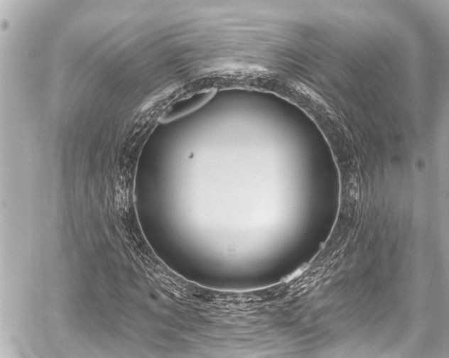 X0000059060869200510101046