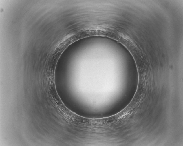 X0000059060870200510101046