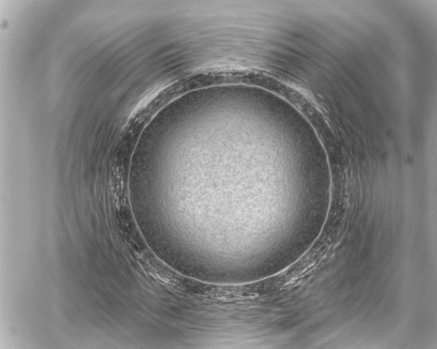 X0000059060871200510101046