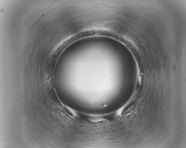 X0000059060872200510101046