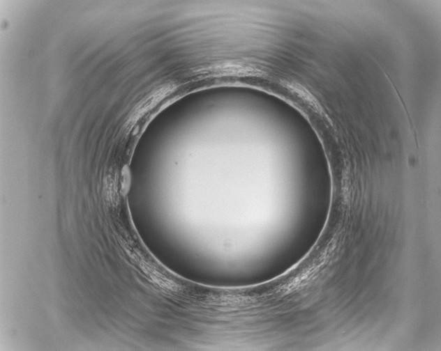 X0000059060873200510101046