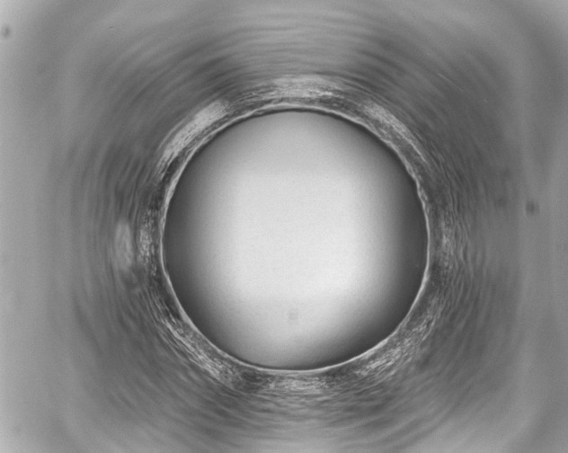 X0000059060874200510101046