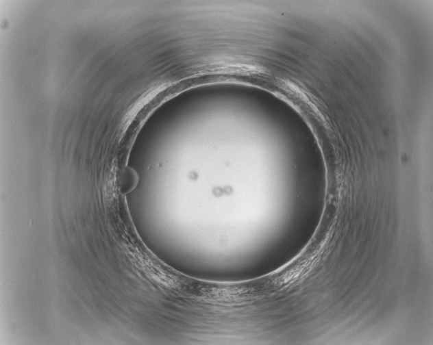 X0000059060875200510101046