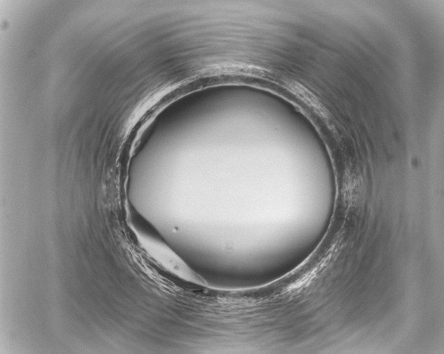 X0000059060877200510101046