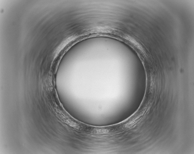 X0000059060878200510101046