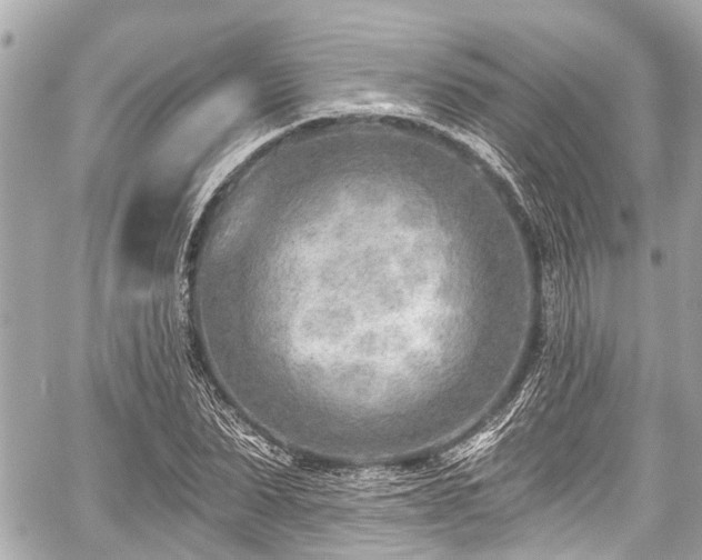 X0000059060879200510101046