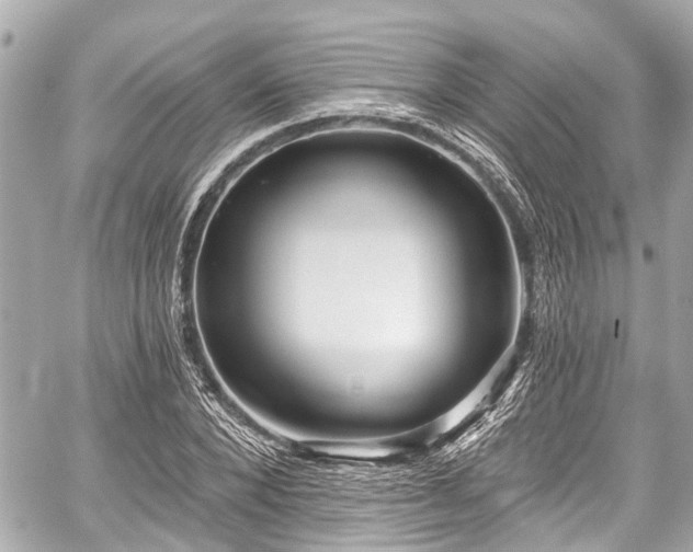 X0000059060880200510101046