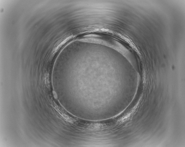 X0000059060881200510101046