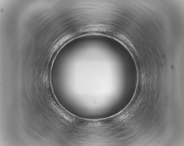 X0000059060882200510101046