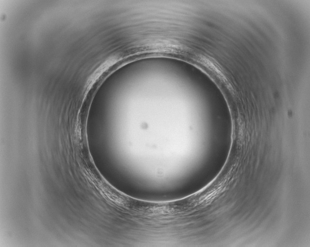 X0000059060883200510101046