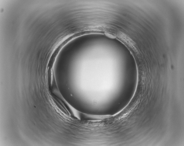 X0000059060884200510101046