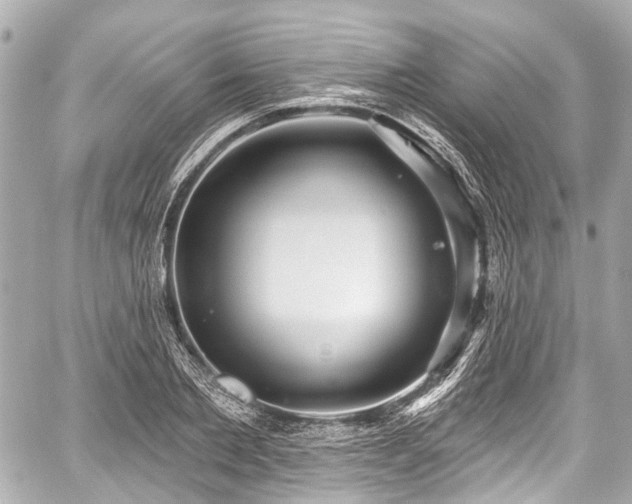 X0000059060885200510101046