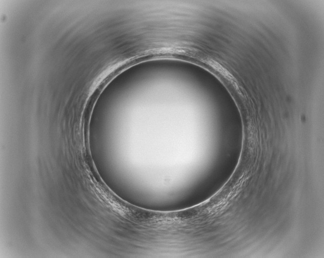 X0000059060886200510101046