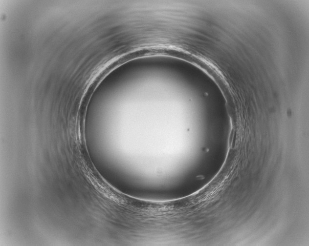 X0000059060887200510101046