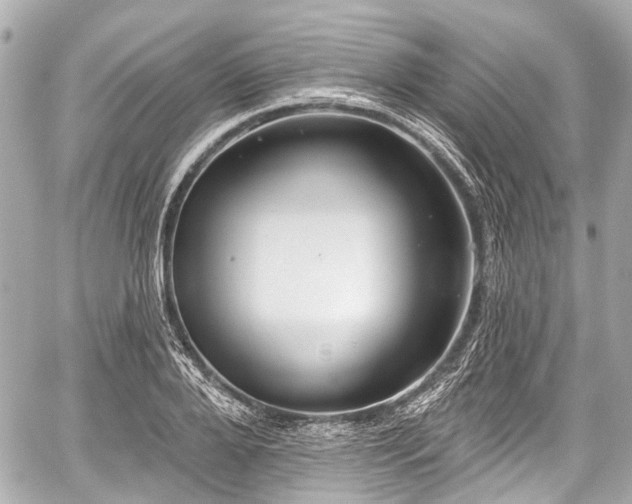 X0000059060888200510101046