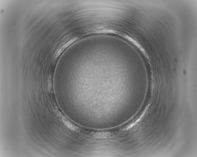 X0000059060889200510101046