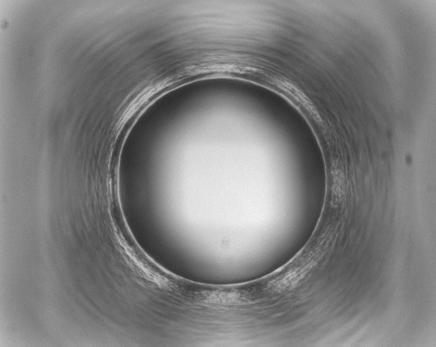 X0000059060890200510101046