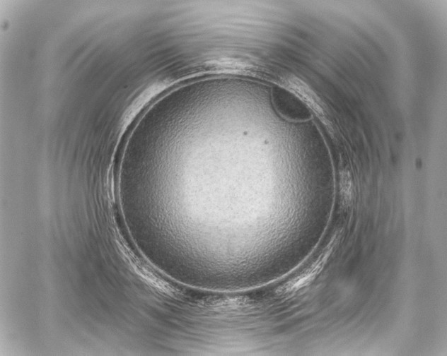 X0000059060891200510101046