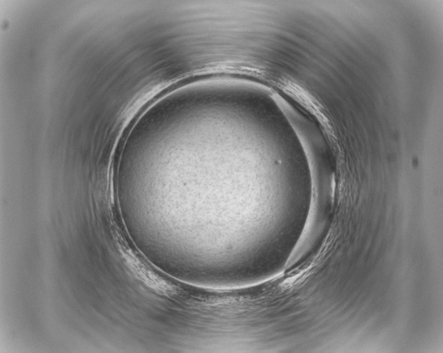 X0000059060892200510101046