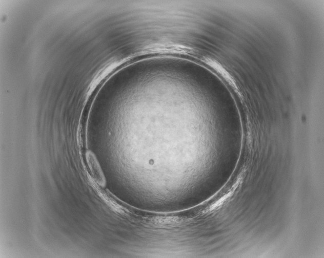 X0000059060893200510101045