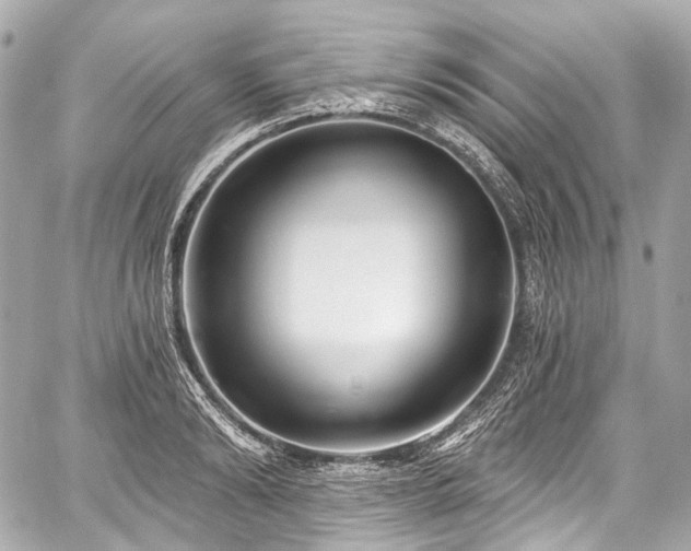 X0000059060894200510101045