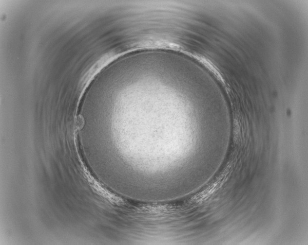 X0000059060895200510101045